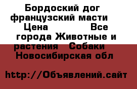 Бордоский дог ( французский масти)  › Цена ­ 50 000 - Все города Животные и растения » Собаки   . Новосибирская обл.